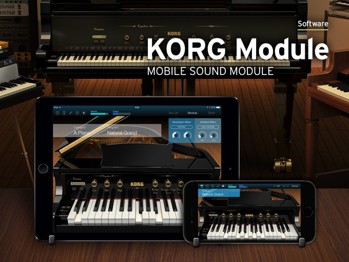 Modules Module MOBILE SOUND MODULE (USA)