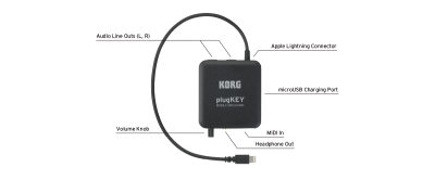 Amazon.com: Korg Audio Interface (PLUGKEYWH) : Musical