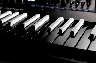 KORG　A3　スティーブハウ Korg Octave Key Assembly with High C for PA300, PA500, PA600
