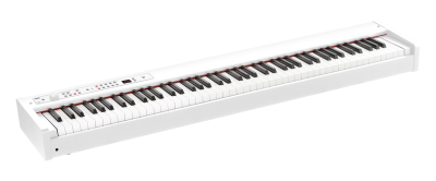D1 - DIGITAL PIANO | KORG (Canada - EN)