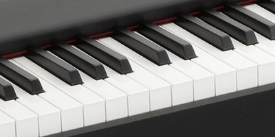 D1 - DIGITAL PIANO | KORG (Canada - EN)