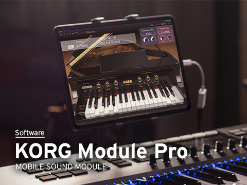 KORG Module Pro