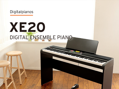 XE20