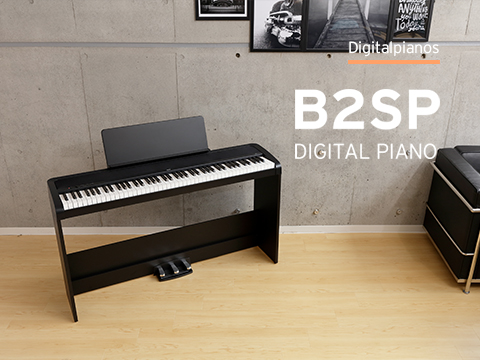 B2SP