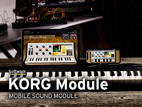 KORG Module