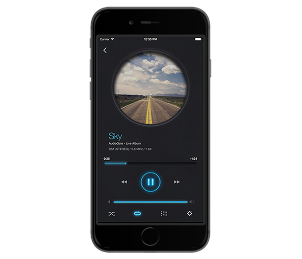 iAudioGate for iPhone