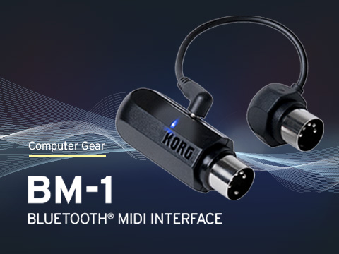 BM-1