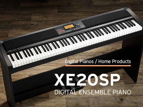 XE20SP