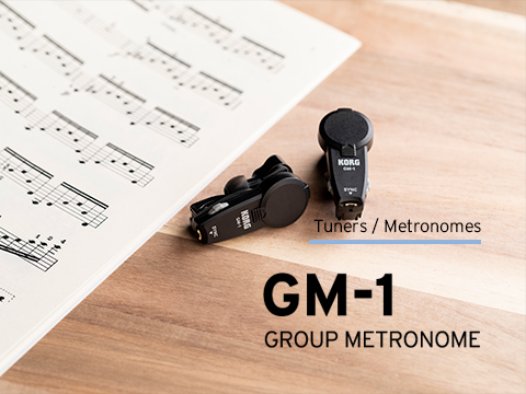 GM-1