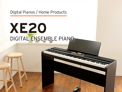 XE20