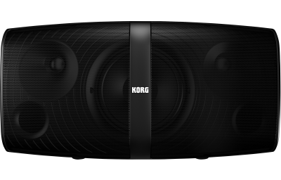 korg pa speaker