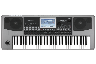 Korg pa900 store