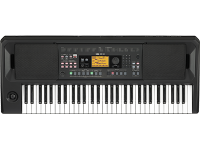 supporto per tastiera regolabile e pedale di sostegno Tastiera con poggiapiedi regolabile Knox Korg EK-50 Entertainer 