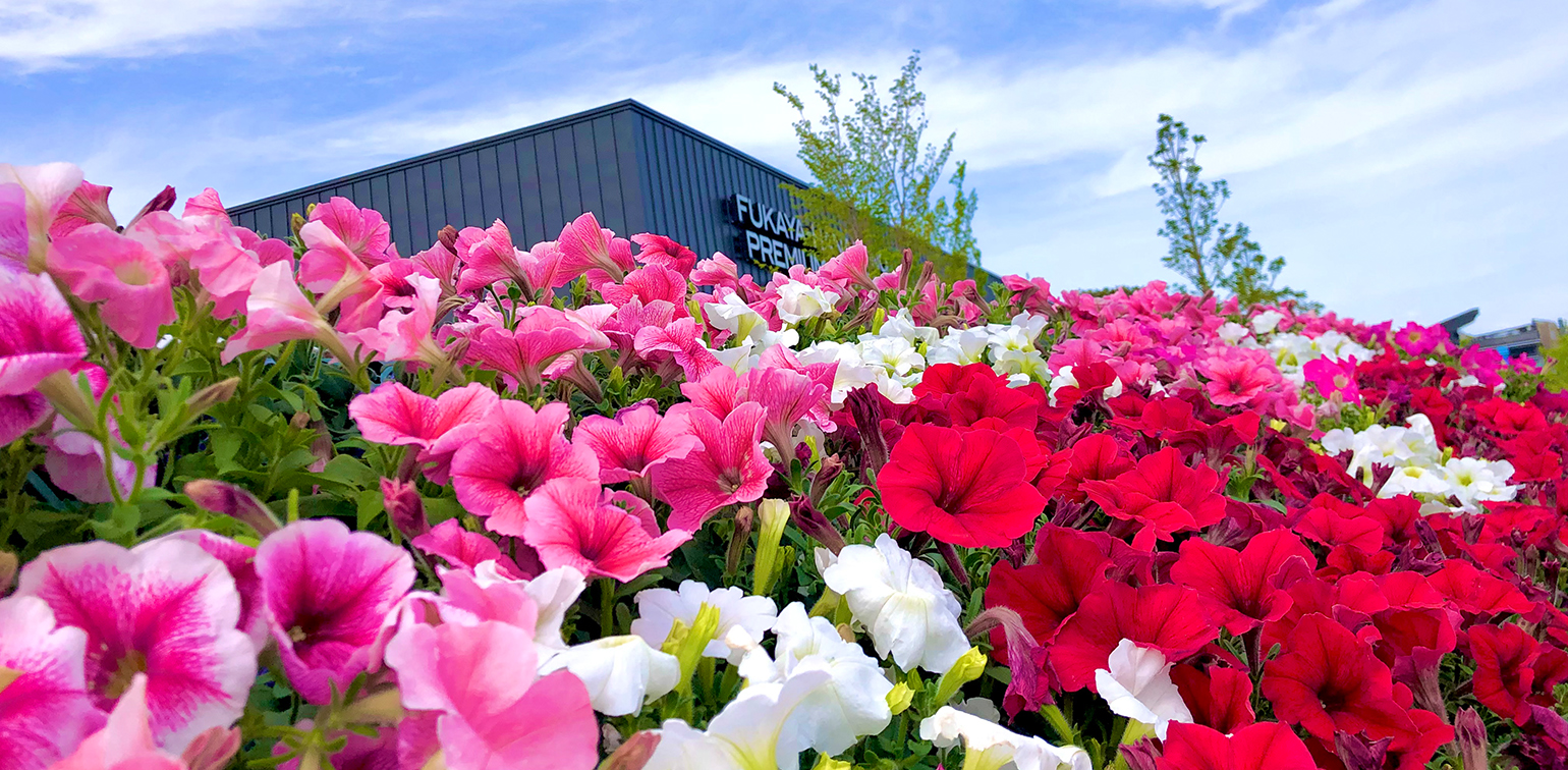 miinori さん専用 ALMIGHTY AS15L mizuno(ミズノ) 静電靴 【通販モノタロウ】