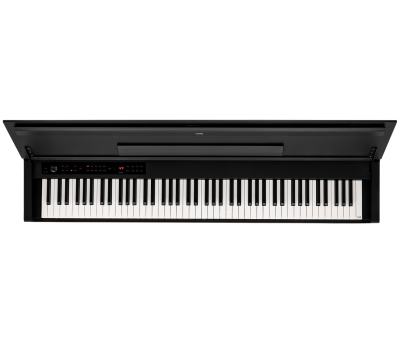 E1 Air - DIGITAL PIANO | KORG (Japan)