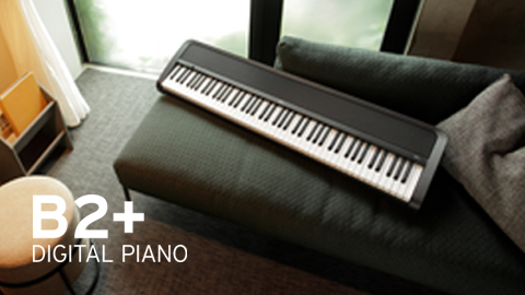 KORG NC-500DB デジタルピアノ Amazon.com: Korg 88-Key Lighter-Touch Digital Piano with