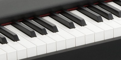 D1 - DIGITAL PIANO | KORG (Japan)