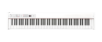 D1 - DIGITAL PIANO | KORG (Middle East - EN)