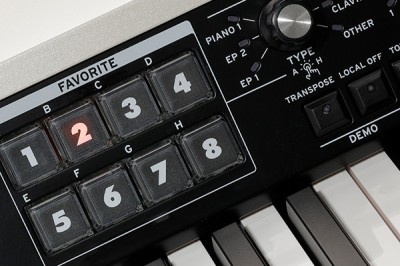 SV-2 - STAGE VINTAGE PIANO | KORG (Middle East - EN)
