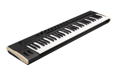 DTM・DAW KORG Keystage 61 Korg Keystage 61 Poly AT MIDI Keyboard Controller PEDAL KIT