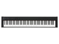 【KORG コルグ】電子ピアノ DIGITAL PIANO D1 D1 - DIGITAL PIANO | KORG (USA)