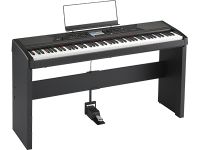 HAVIAN 30 - PIAN DIGITAL CU ARANJOR | KORG (Romania)