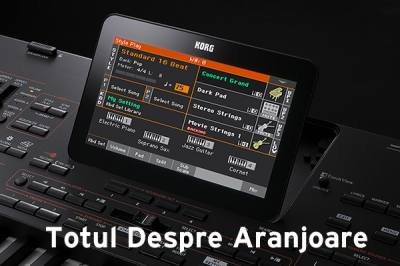 Pa900 - ARANJOR PROFESIONAL | KORG (Romania)