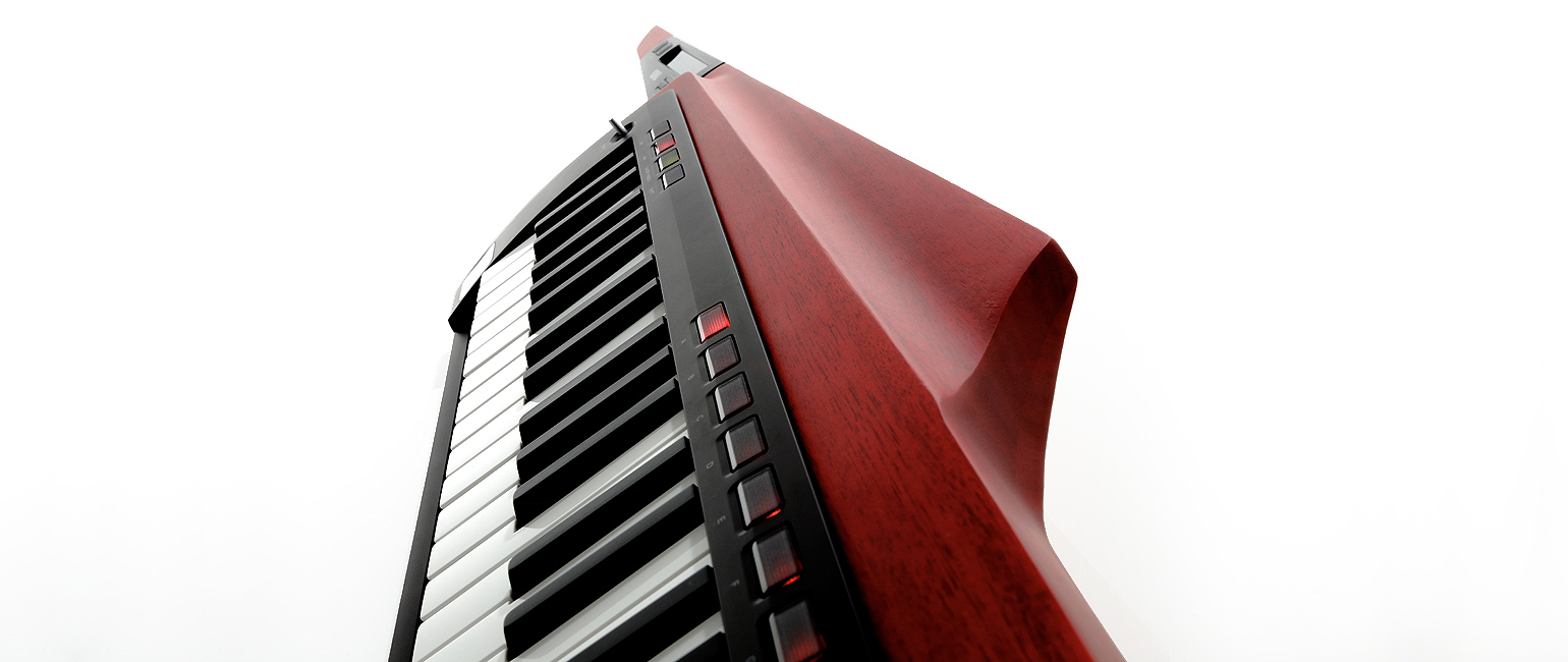 Korg RK-100S 2 Keytar - Translucent Red CABLE KIT – Kraft Music