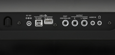 EK-50 Limitless - ENTERTAINER KEYBOARD | KORG (Taiwan)