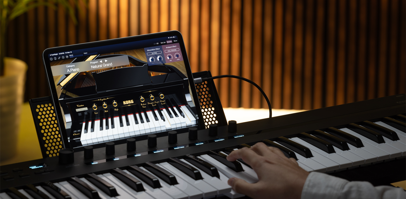 KORG Module