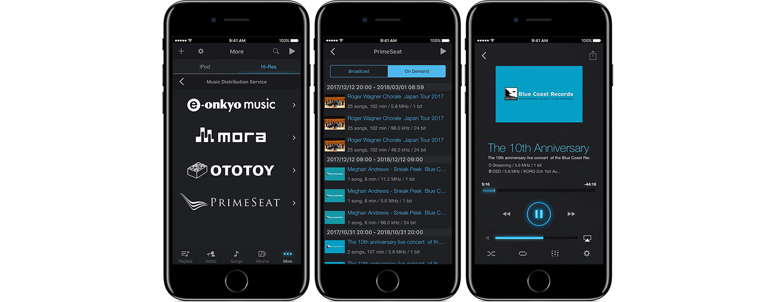 News iAudioGate for iPhone version 4.0, available February 20.