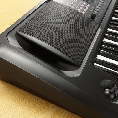 Korg EK-50 Entertainer Keyboard Set 61 Tasten Lautsprecher Ständer USB Zubehör 