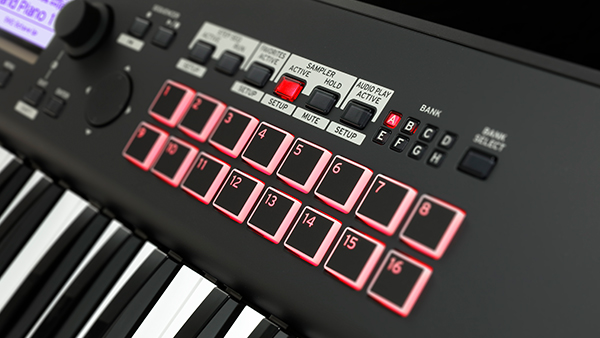 Korg kross deals 2 special edition