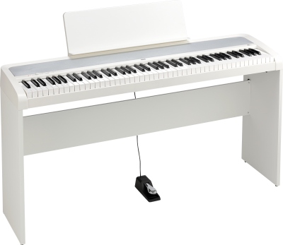 B2+ - DIGITAL PIANO | KORG (USA)