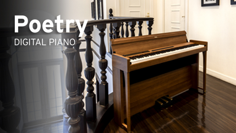 Digital Pianos / Home Products | KORG (USA)