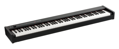 D1 - DIGITAL PIANO | KORG (USA)