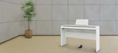 B1 - DIGITAL PIANO | KORG (South Africa)