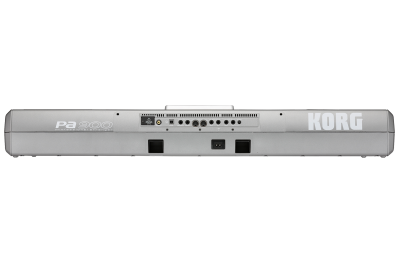 KORG PA900 Africa) (South KORG | ARRANGER PROFESSIONAL - Pa900 キーボード ワークステーション 鍵盤楽器