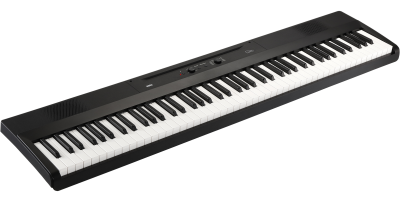 Liano - DIGITAL PIANO | KORG (South Africa)