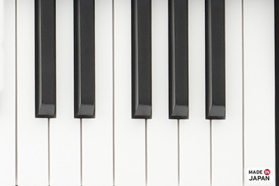 LP-380U - DIGITAL PIANO | KORG (South Africa)